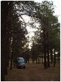 Campsite outside of Flagstaff